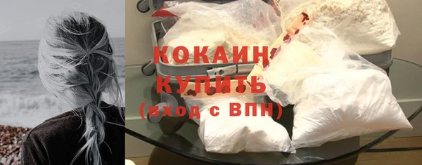 индика Нефтекумск