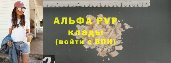 индика Нефтекумск