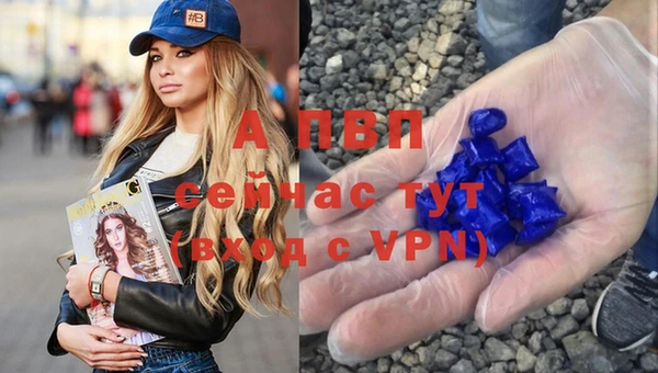 индика Нефтекумск