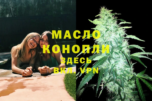 индика Нефтекумск