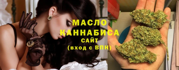 индика Нефтекумск