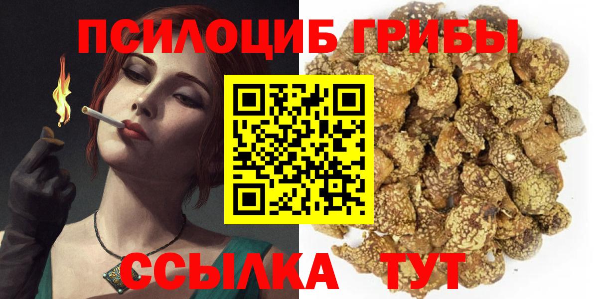 Псилоцибиновые грибы прущие грибы Жуковский