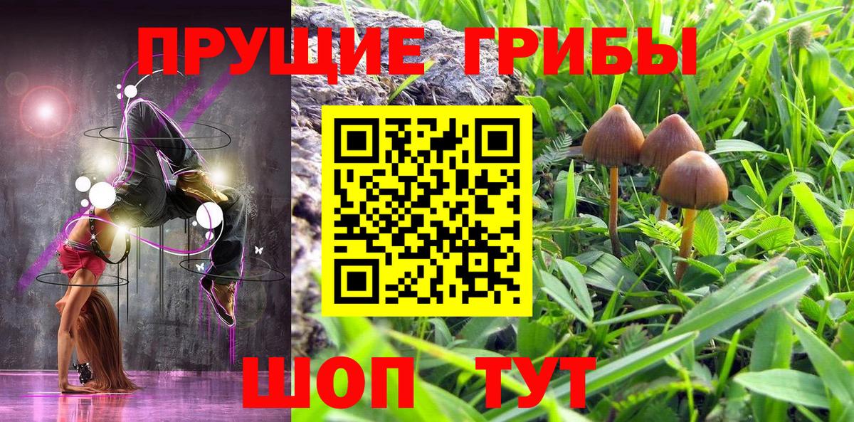 Галлюциногенные грибы Cubensis  Жуковский  наркота  Галлюциногенные грибы Psilocybe 