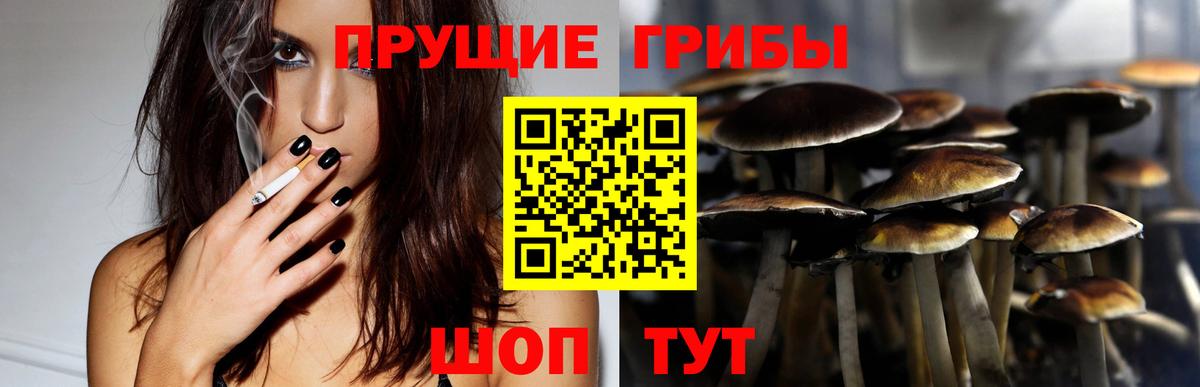 Псилоцибиновые грибы ЛСД  Псилоцибиновые грибы Psilocybine cubensis  Вход с VPN  Жуковский 