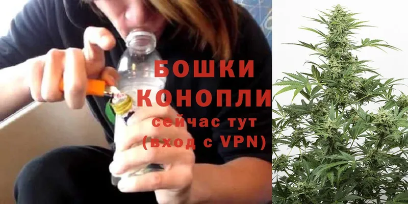 Бошки марихуана SATIVA & INDICA  Жуковский 