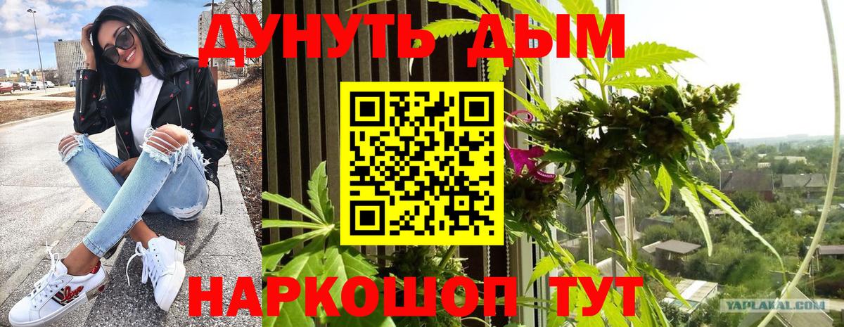 Каннабис план  Жуковский  Марихуана MAZAR  Бошки Шишки ГИДРОПОН 